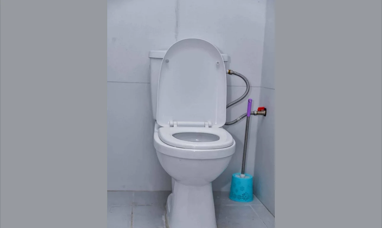 Appartement meublé
