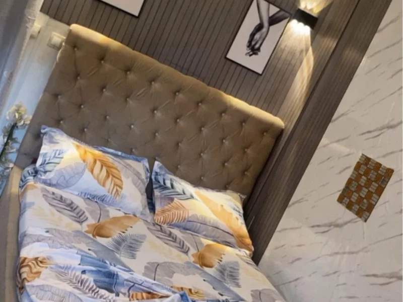 Chambre meublée