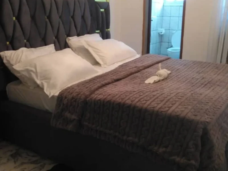 Chambre meublée