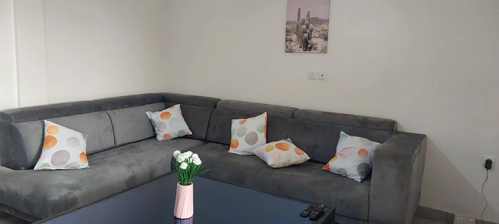 studio meublé